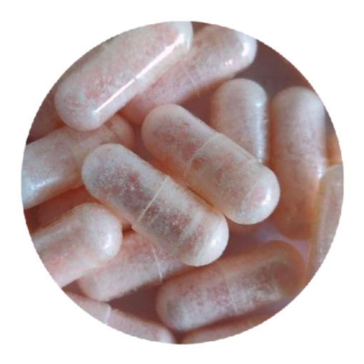 Kaufen Sie Pink Rhino MDMA-Kapseln
