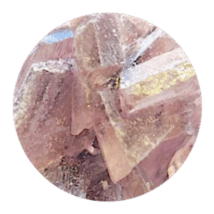 Twilight Molly kaufen