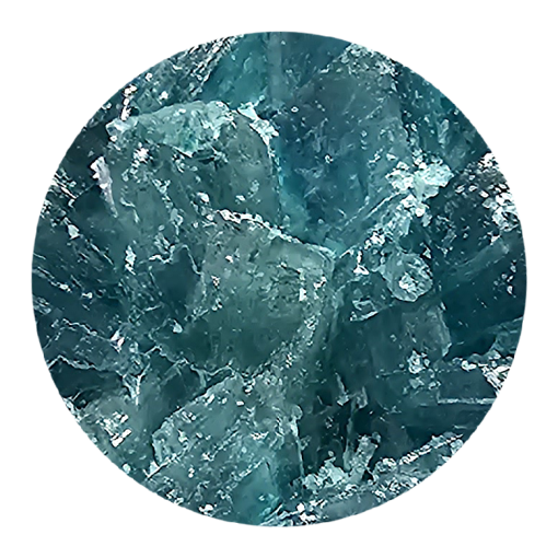 Kaufen Sie Blue Dolphin Molly