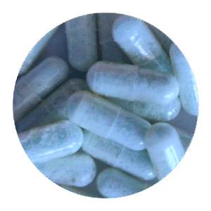 Blue Dolphin MDMA-Kapseln kaufen
